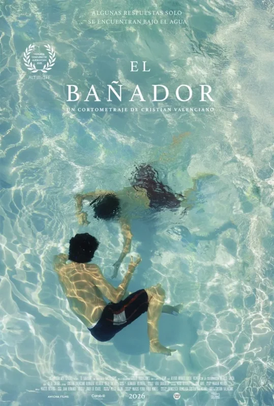 Cartel de El bañador